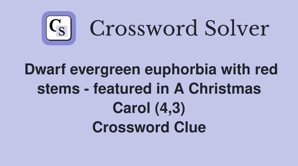 Dwarf evergreen euphorbia with red stems featured in A Christmas